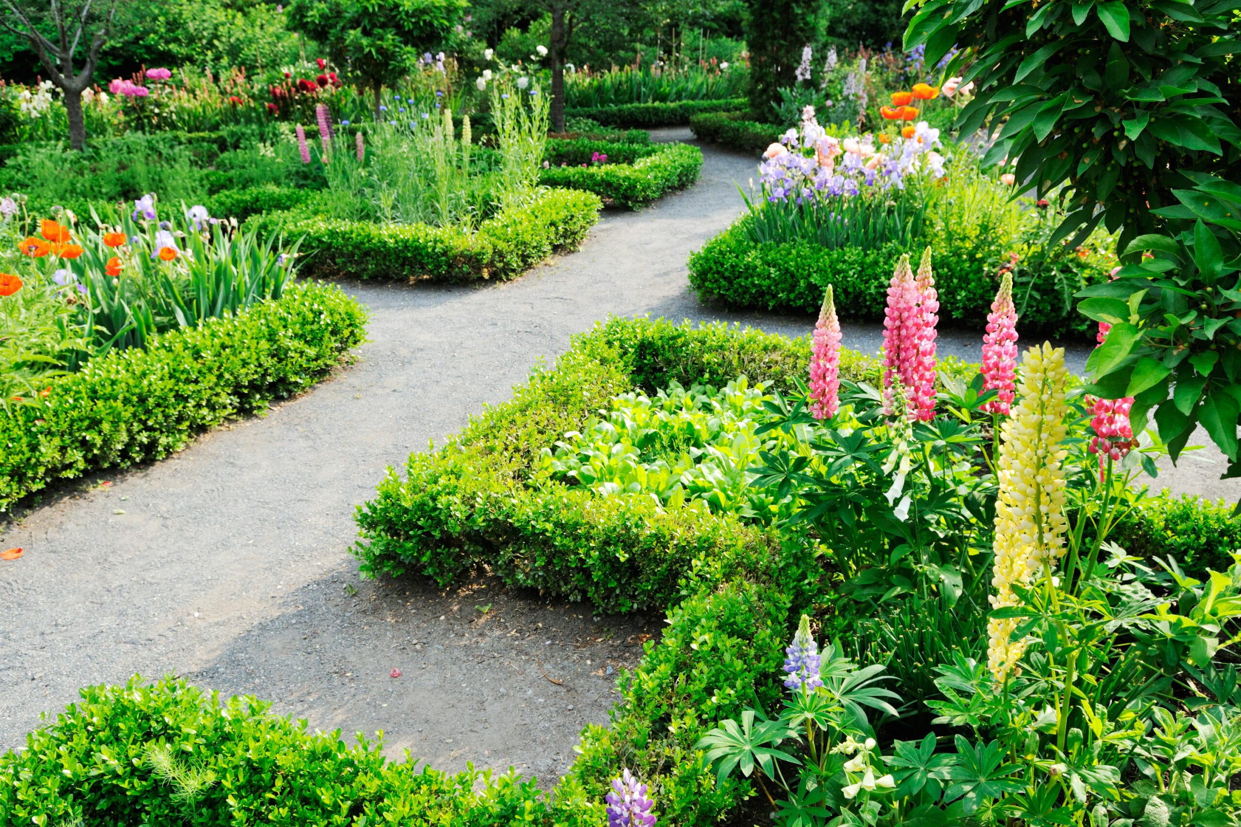 Tuin Indelen: Mogelijkheden En Kosten [+ Inspiratie!]